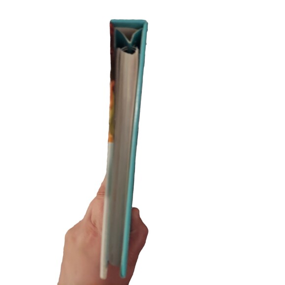 Allergy-Free Cookbook - Gluten-Free, Dairy-Free, Egg-Free, Nut-Free 2010 Recipe - Picture 3 of 9